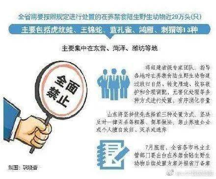 2025新澳精准正版免费大全的警惕虚假宣传-全面落实与解释释