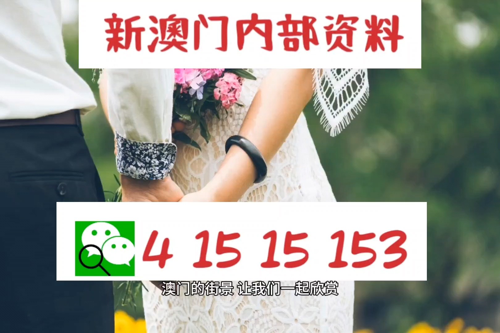 2030澳门精准正版免费四不像与警惕虚假宣传-全面说明、专家全新解释与落实
